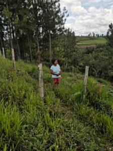 Alba Elena Sánchez - Corregimiento la venta-vereda siloe- unidad productiva hortalizas