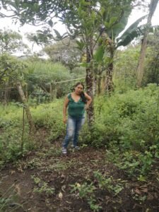 Diana Marcela Vidal - Corregimiento La venta-vereda la viuda-grupo zona la viuda-unidad productiva gallinas ponedoras