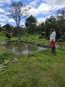 María helena orozco - Vereda los ángeles-corregimiento de campo alegre unidad productiva cría de peces
