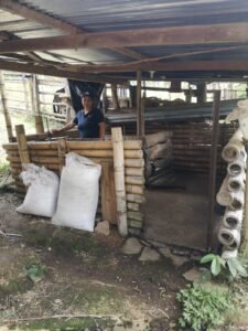 Sandra lubo Vereda los ángeles-corregimiento de campo alegre-unidad productiva cerdos de engorde