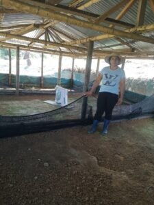 Nelsa Inés Orozco - Vereda los ángeles- corregimiento de campo alegre- unidad productiva pollos de engorde